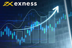 Understanding Competitive Exness Fees for Traders Understanding Competitive Exness Fees for Traders